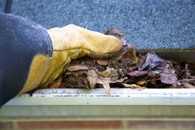 Clogged Gutter Clearing in Rochester, NY
