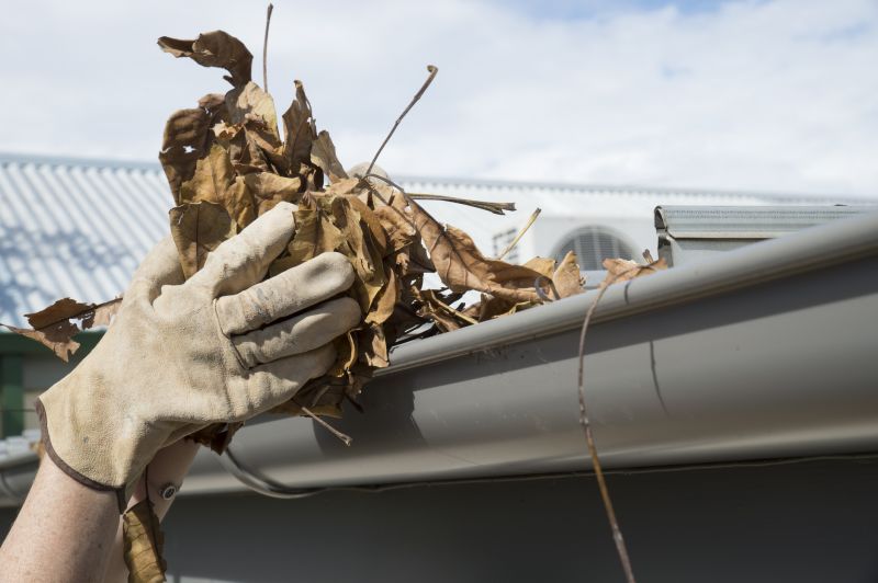 Gutter Pine Needle Removal in Rochester, NY